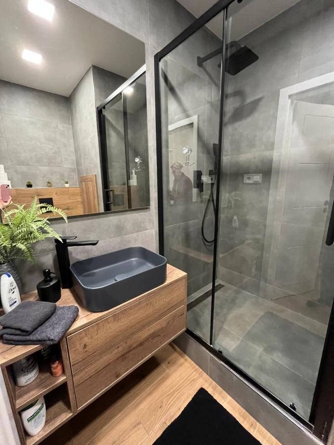 Luxusni Nove Zrekonstruovany Apartman 2Kk - 47M2 - Ostrava Centrum Екстер'єр фото